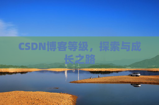 CSDN博客等级，探索与成长之路
